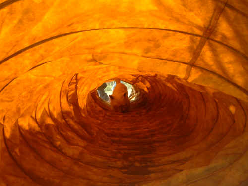 DSCF0034.JPG (323092 oCg)