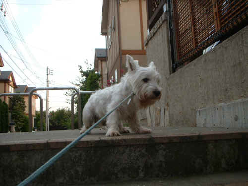 DSCF0013.JPG (321291 oCg)